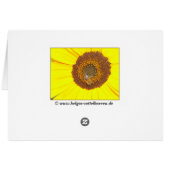 little bumblebee cards (Back Horizontal)