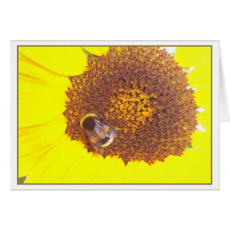 little bumblebee cards