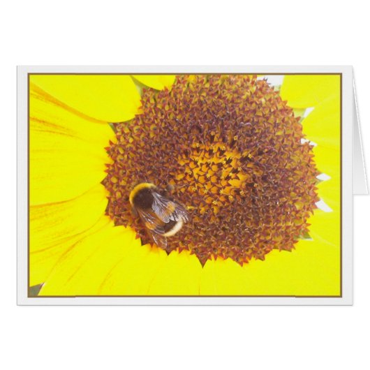 little bumblebee cards (Front Horizontal)