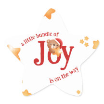 Little Bundle of Joy Bear