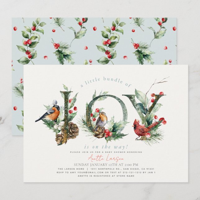 Little Bundle of Joy Birds Boy Baby Shower Invitation (Front/Back)