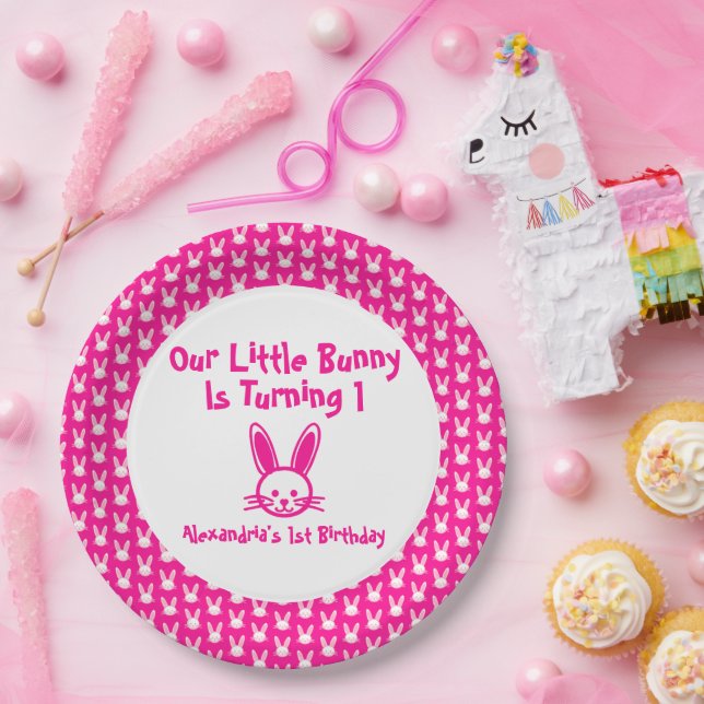Little Bunny 1st Birthday Paper Plates (Party)