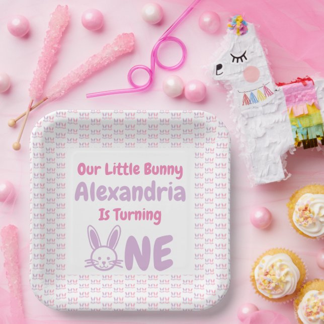 Little Bunny 1st Birthday Paper Plates (Party)