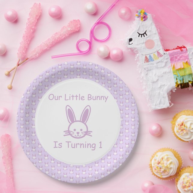 Little Bunny 1st Birthday Paper Plates (Party)