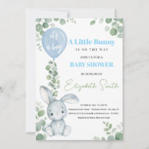Little Bunny Eucalyptus Baby Boy Baby Shower