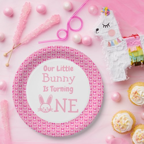 Little Bunny First Birthday Paper Plates
