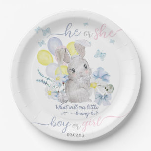 Little bunny gender reveal party plate. paper plat plates