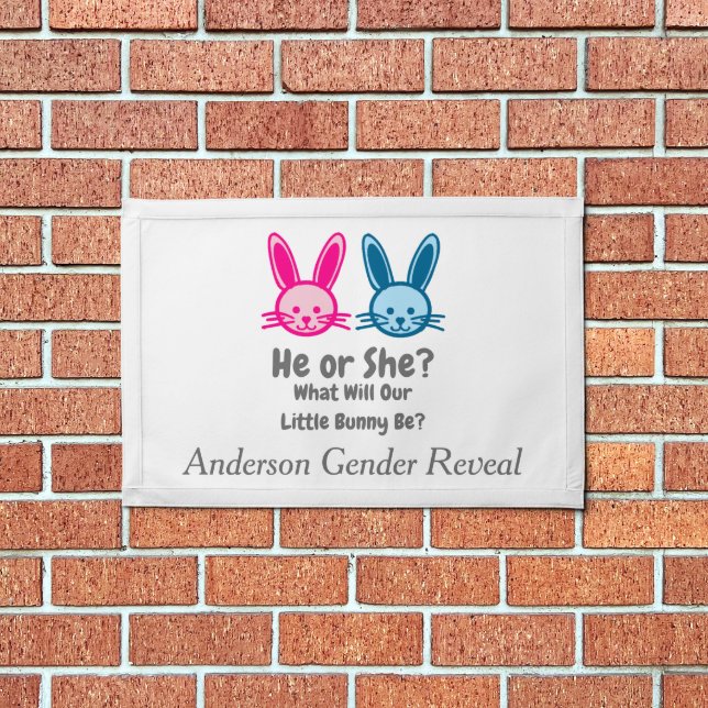Little Bunny Gender Reveal Pennant (Insitu 1)