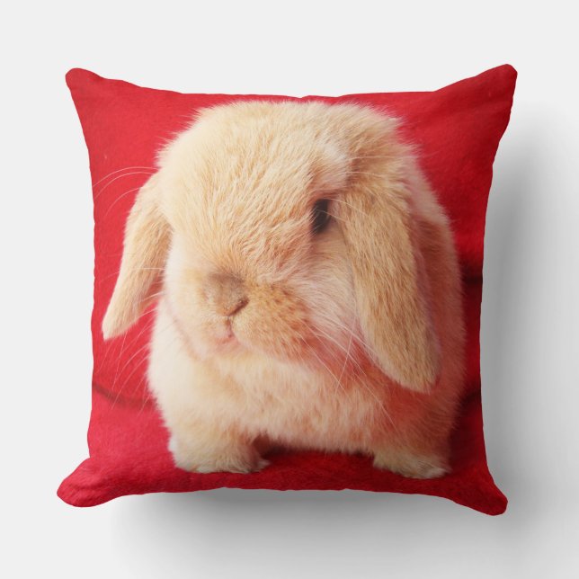 Little Bunny Pillow (Front)