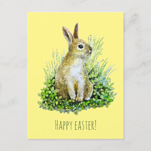 Little bunny  watercolor postcard