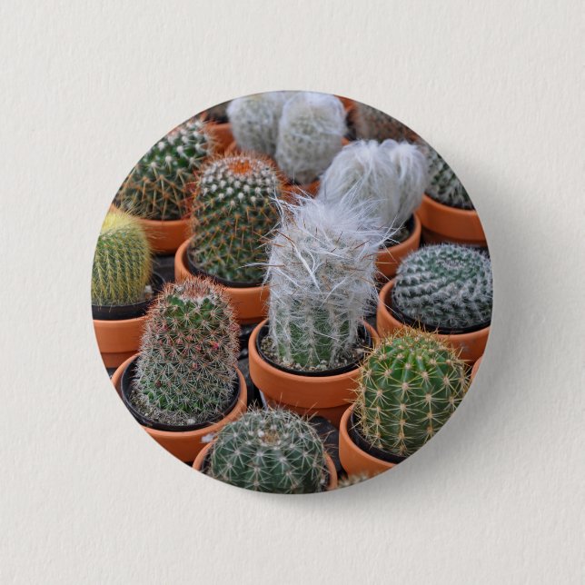 Little cactus plants button (Front)