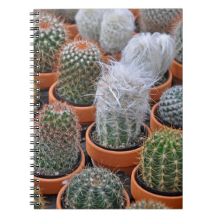 Little cactus plants notebook