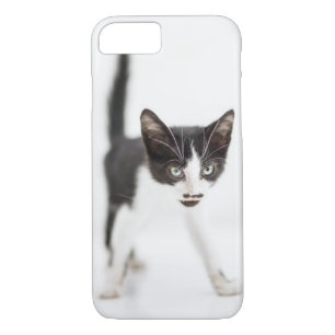 Little Cat iPhone 8/7 Case