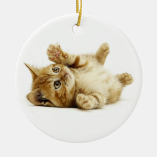 LITTLE CAT CERAMIC ORNAMENT