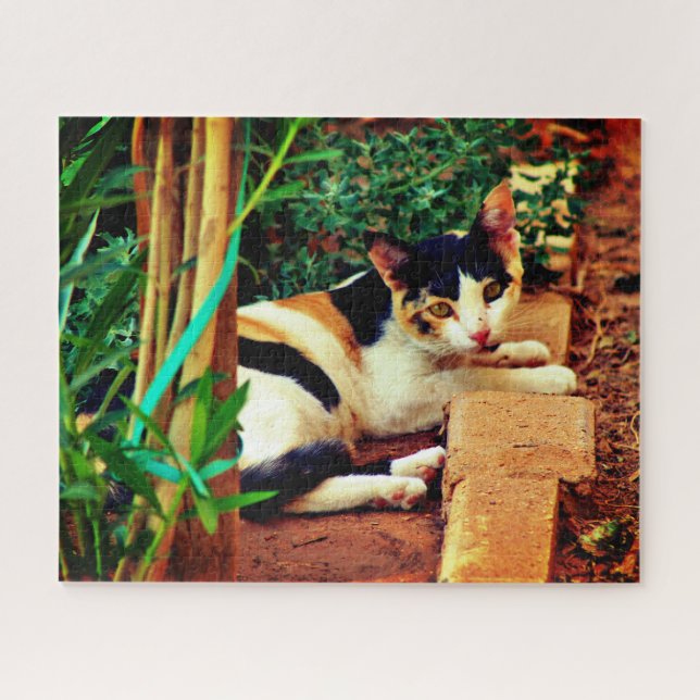 Little Cat Jigsaw Puzzle (Horizontal)