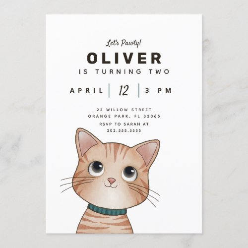 Little cat Kids Birthday party card