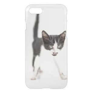 Little Cat iPhone SE/8/7 Case