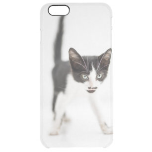 Little Cat Clear iPhone 6 Plus Case