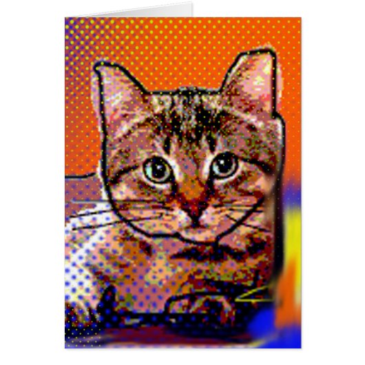 little cats cards (Front)