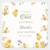 Little chick is on the way farm baby shower