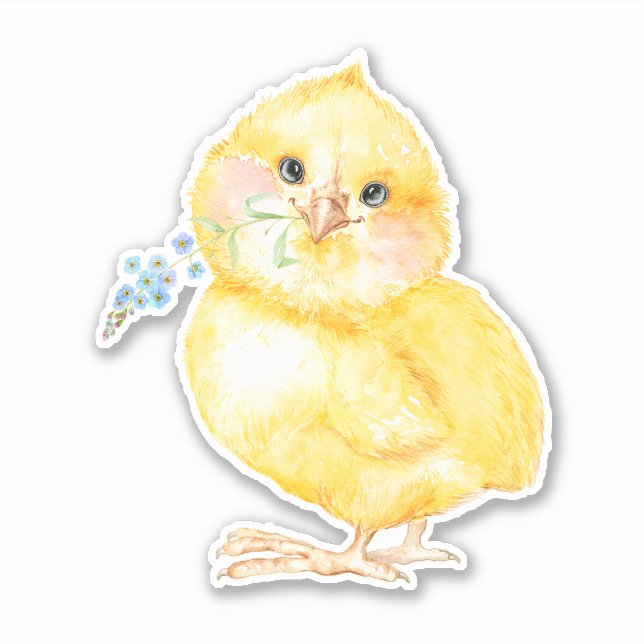 Little Chick Sticker (Front)