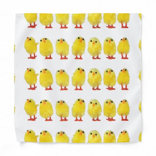 Little Chicks Bandana