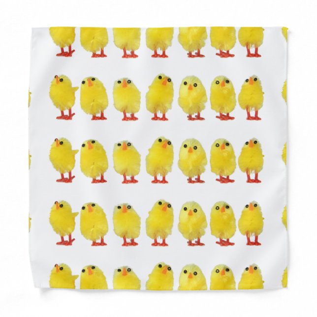 Little Chicks Bandana (Front)