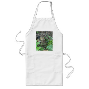 Little Chipmunk Eating Seeds In The Garden Photo Long Apron