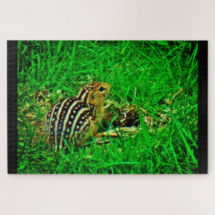 Little Chipmunk Jigsaw Puzzle