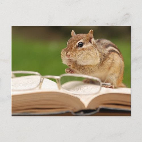 Little Chipmunk Reading Postcard