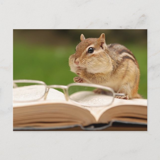Little Chipmunk Reading Postcard (Front)