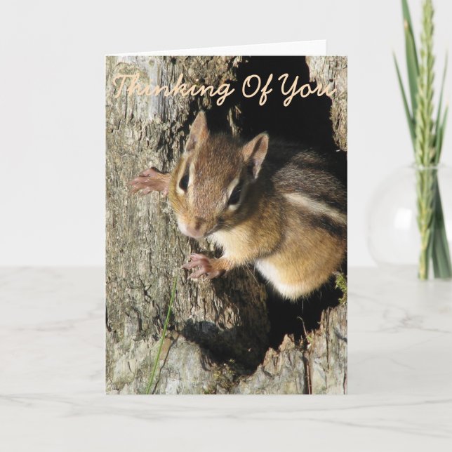 Little Chipmunk Thinking of You Card (Front)
