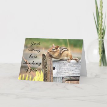 Little Chipmunk Thinking Of You Card by Meg_Stewart at Zazzle