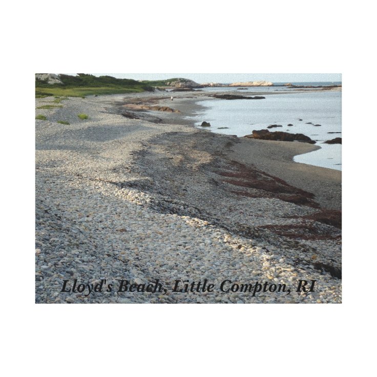 Little Compton, Rhode Island Lloyd's Beach Canvas Print Zazzle