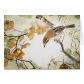 Little Creature-Bull-headed Shrikes (Front Horizontal)