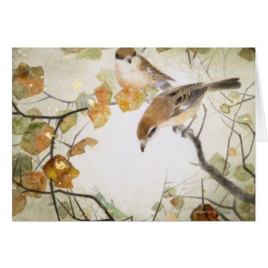 Little Creature-Bull-headed Shrikes Cards (Front Horizontal)