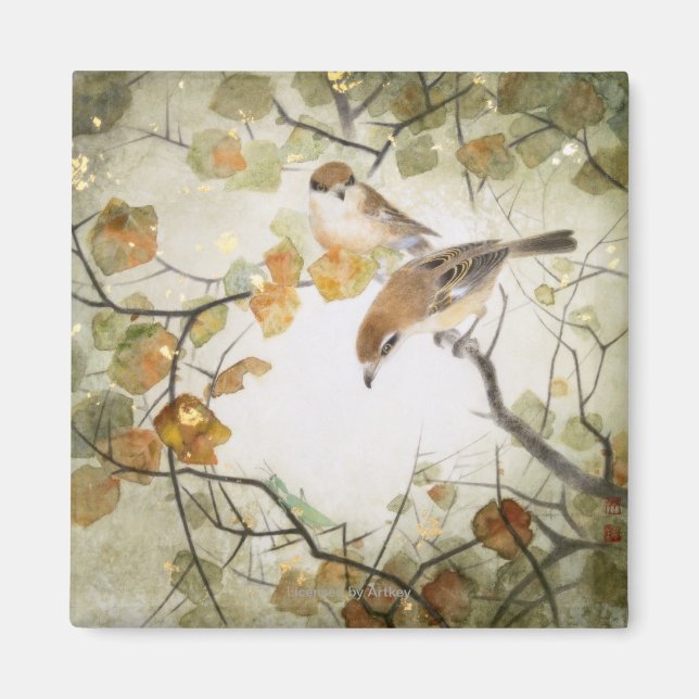 Little Creature-Bull-headed Shrikes Magnet (Front)