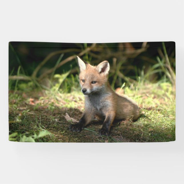 Little Cub Red Fox Banner (Horizontal)