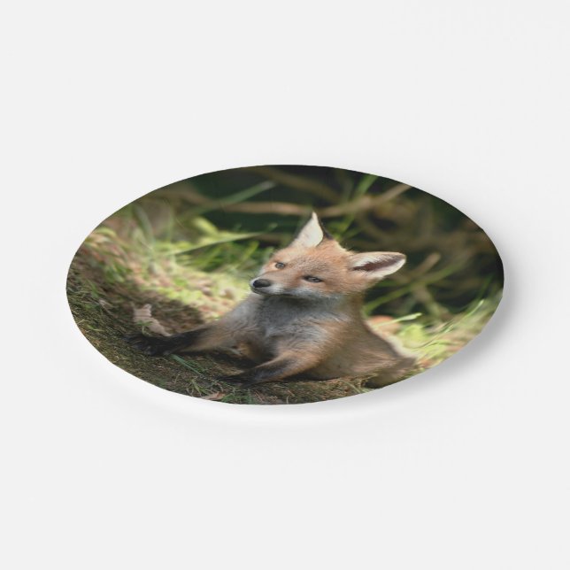 Little Cub Red Fox Paper Plates (Angled)