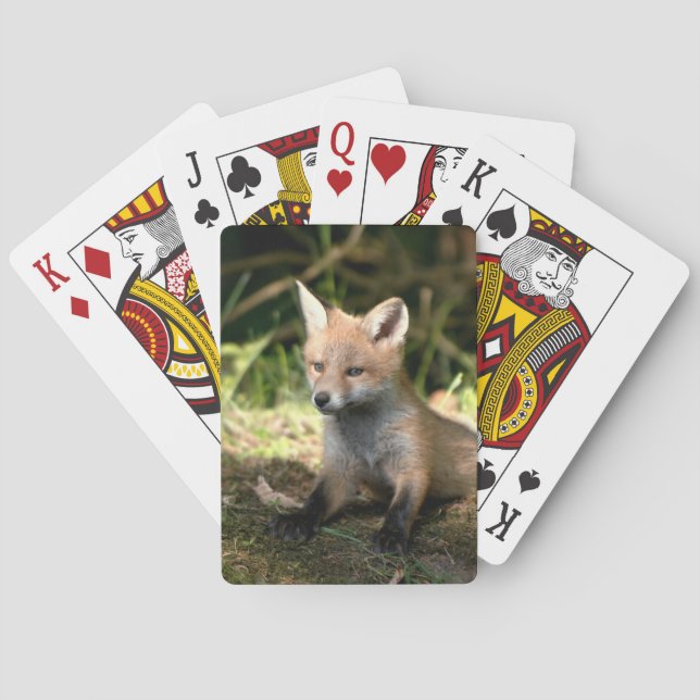 Little Cub Red Fox Poker Cards (Back)