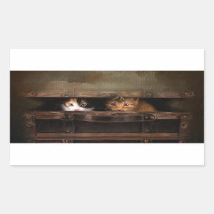 Little cute kitten in an old wooden case rectangular sticker