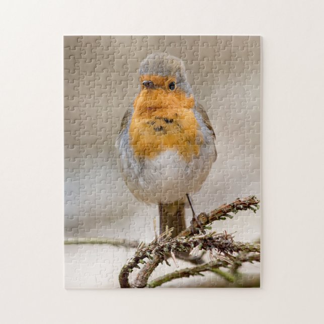 Little cute red robin bird jigsaw puzzle (Vertical)