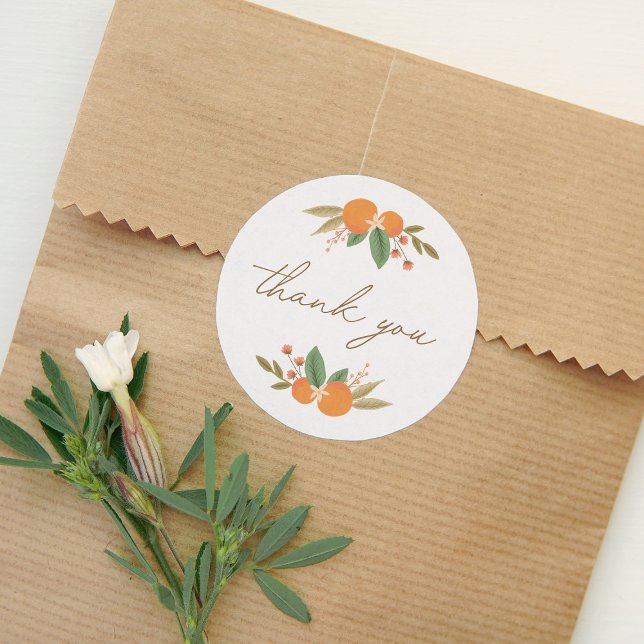 Little Cutie Citrus Baby Shower Thank You Classic Round Sticker (Creator Uploaded)