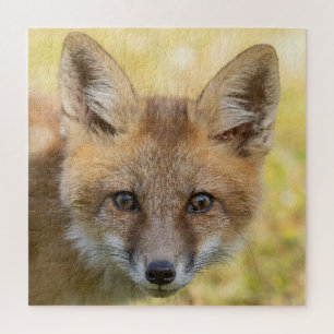 Little Cutie Fox Portrait Jigsaw Puzzle
