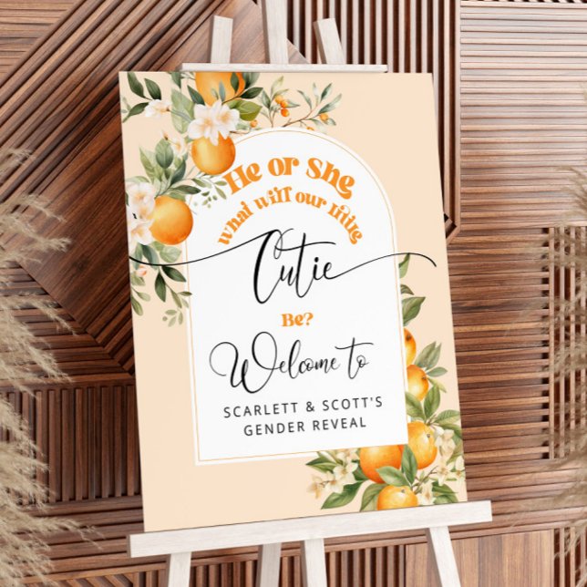 Little cutie he or she gender reveal welcome foam board (Creator Uploaded)