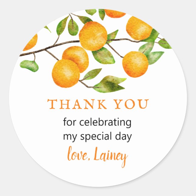 Little Cutie Orange Birthday Party Favor Classic Round Sticker (Front)