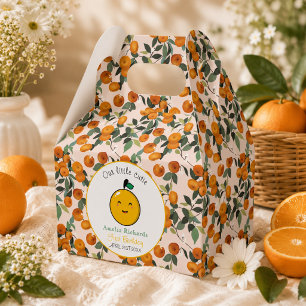  Little Cutie Orange Citrus 1st Birthday  Favor Boxes
