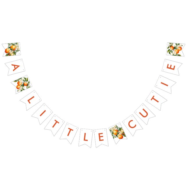 Little Cutie Orange Clementine Baby Shower Bunting Flags (All)