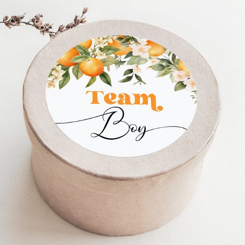 Little cutie Team boy gender reveal Classic Round Sticker