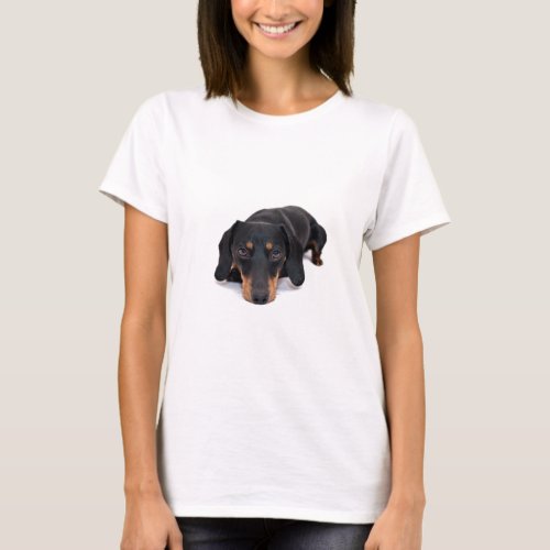 Little Dachshund Dog T_Shirt